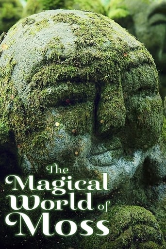 The Magical World of Moss 2023