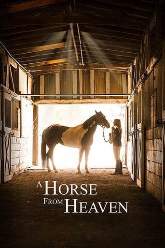A Horse from Heaven 2018 (اسبی از بهشت)