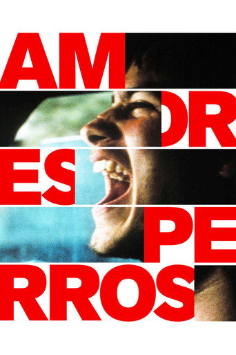 دانلود فیلم Amores Perros 2000 (عشق سگی)