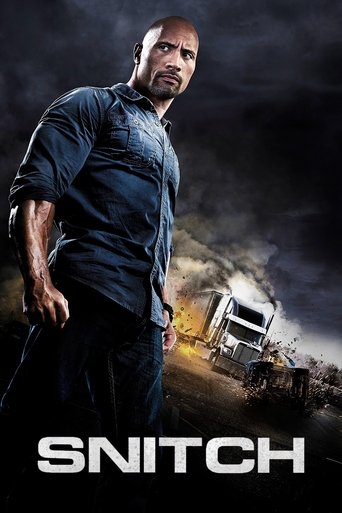 Snitch 2013 (خبرچین)