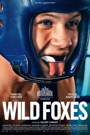 Wild Foxes 2025