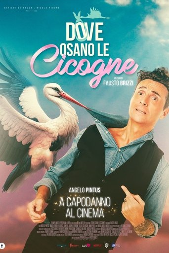 دانلود فیلم Dove osano le cicogne 2025