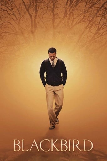 Blackbird 2014 (پرنده سیاه)