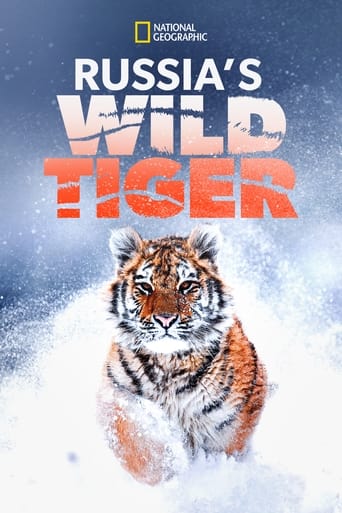 دانلود فیلم Russia's Wild Tiger 2022 ("هفته گربه بزرگ" ببر وحشی روسیه)