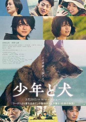 The Boy and the Dog 2025