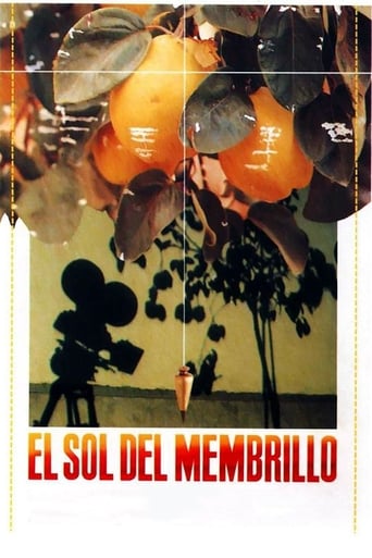 دانلود فیلم The Quince Tree Sun 1992 (رؤیای نور)