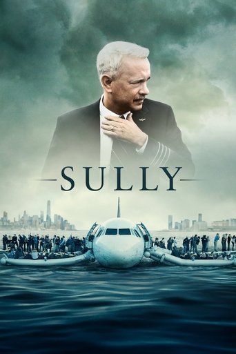 Sully 2016 (سالی)