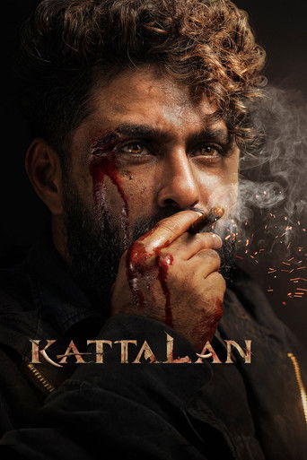 Kattalan 2026