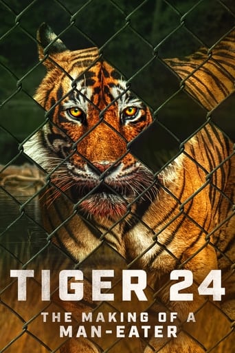 Tiger 24 2022