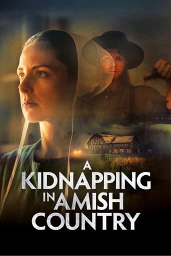 A Kidnapping in Amish Country 2024