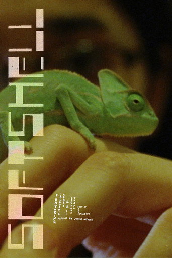 Softshell 2024