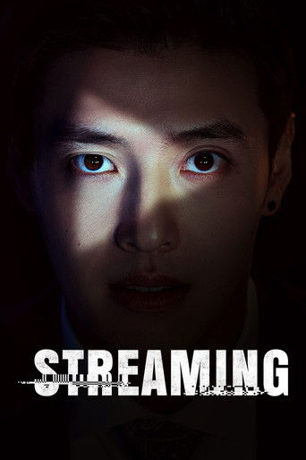 Streaming 2025 (استريمينگ )