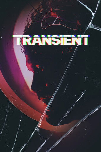 Transient 2024