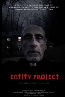 Entity Project 2019