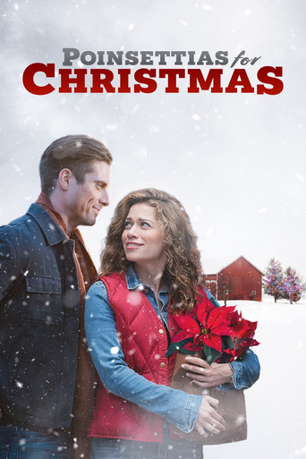Poinsettias for Christmas 2018