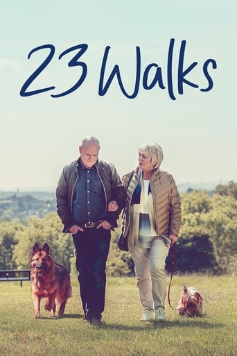 23 Walks 2020 (پیاده روی 23)