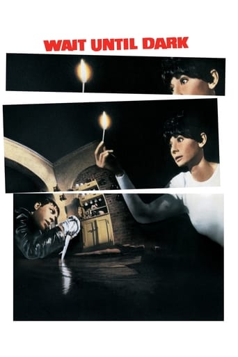 Wait Until Dark 1967 (تا تاریکی صبر کن)