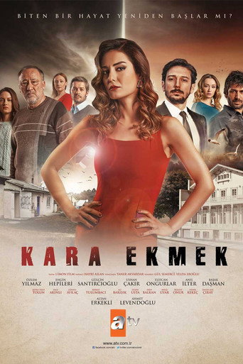 Kara Ekmek 2015 (زندگی گمشده)