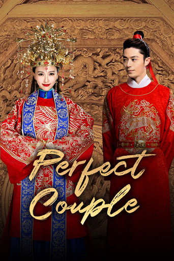 دانلود سریال Perfect Couple 2014 (زوج عالی)