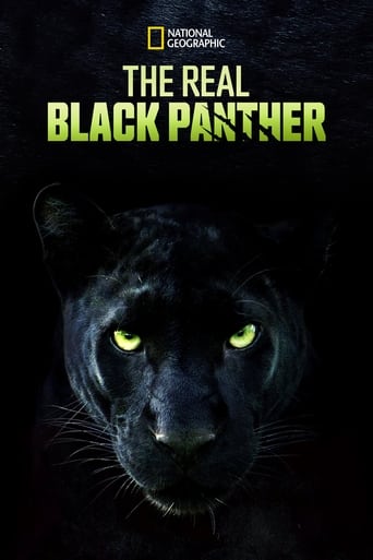 The Real Black Panther 2020 (پلنگ سیاه واقعی)