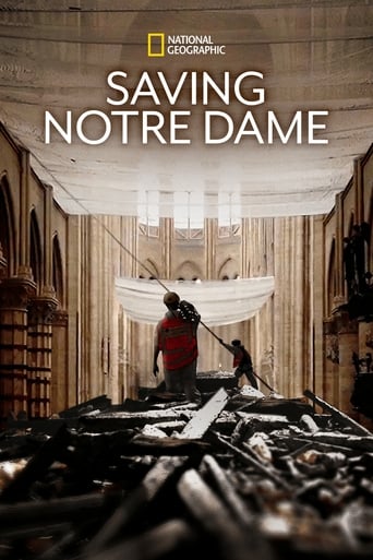 Saving Notre Dame 2020