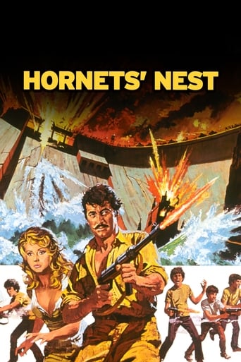 Hornets' Nest 1970 (آشیانه هورنتز)