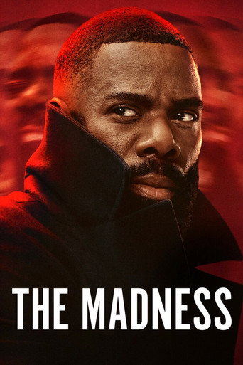 دانلود سریال The Madness 2024 (جنون )