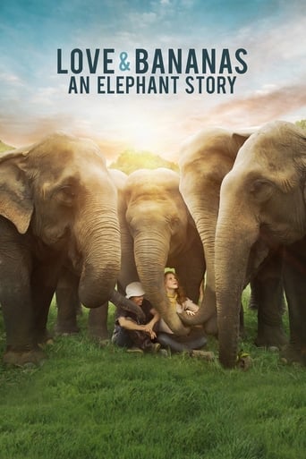 دانلود فیلم Love & Bananas: An Elephant Story 2018