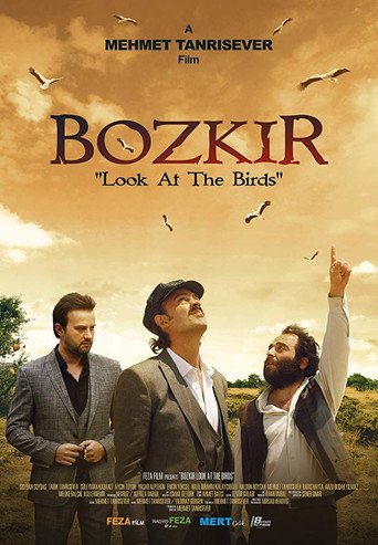Bozkir "Look at the Birds" 2019