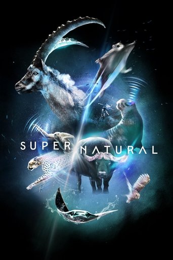 دانلود سریال Super/Natural 2022 (فراطبیعی)
