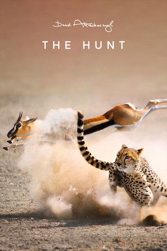 The Hunt 2015 (شکار)