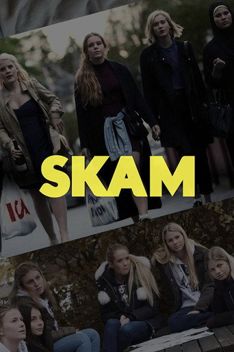 SKAM 2015 (اسکام)