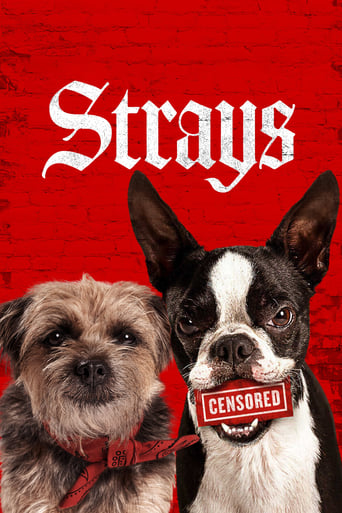 Strays 2023 (گمراه ها)