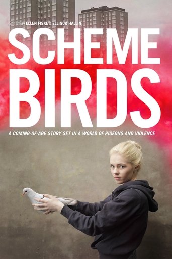 Scheme Birds 2019