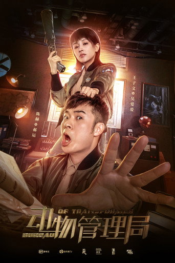 Bureau of Transformer 2019