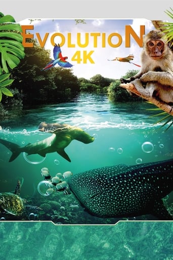 Evolution 4K 2018 (سیر تکاملی)