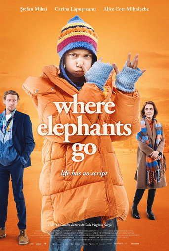 دانلود فیلم Where Elephants Go 2024