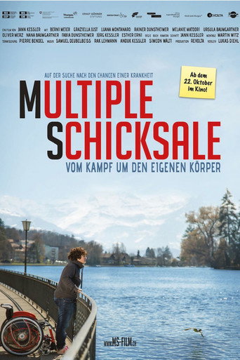 Multiple Schicksale 2015