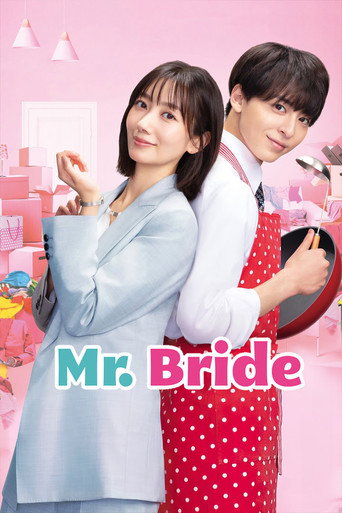 دانلود سریال Mr. Bride 2023