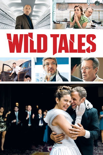 دانلود فیلم Wild Tales 2014 (داستانهای وحشی)