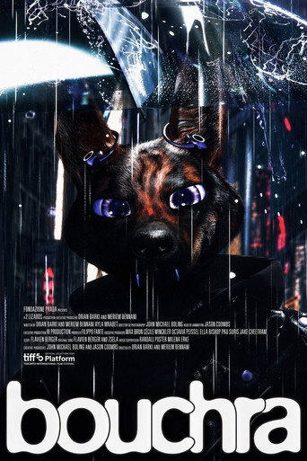 Bouchra 2024