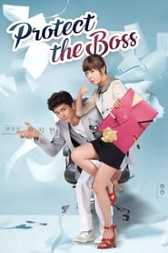 Protect the Boss 2011 (مراقب رییس باش)