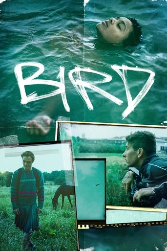Bird 2024 (پرنده)