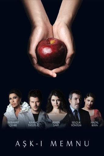 دانلود سریال Forbidden Love 2008 (عشق ممنوع)