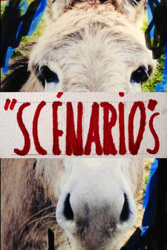 Scénarios 2024