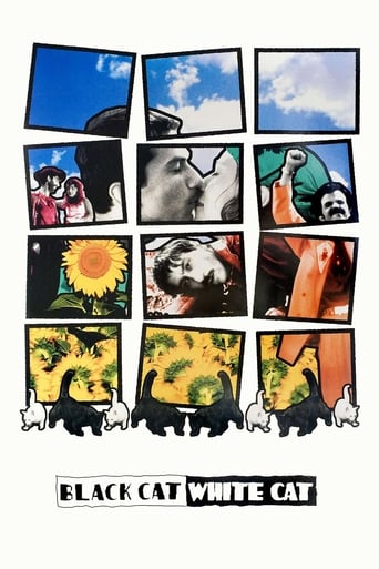 Black Cat, White Cat 1998 (گربه سیاه, گربه سفید)