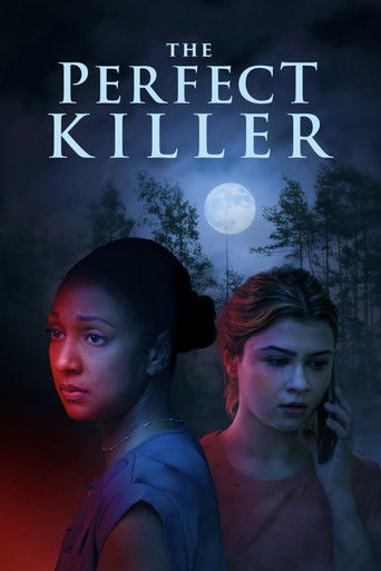 The Perfect Killer 2025