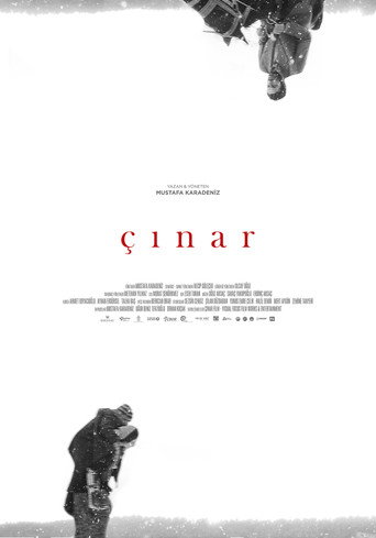 دانلود فیلم Plane Tree 2018