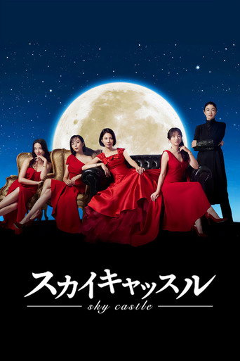 دانلود سریال Sky Castle 2024
