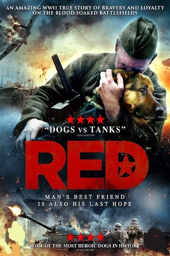 Red Dog 2017